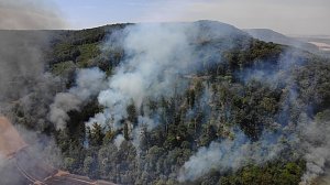 Waldbrand bei Wernrode