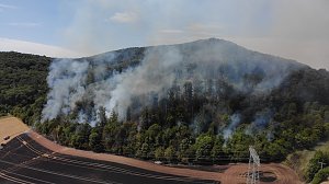 Waldbrand bei Wernrode