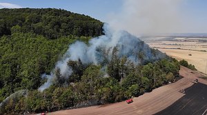 Waldbrand bei Wernrode