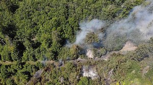 Waldbrand bei Wernrode