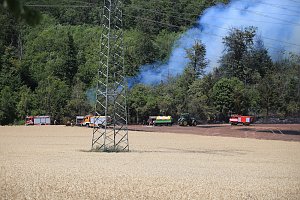 Waldbrand bei Wernrode