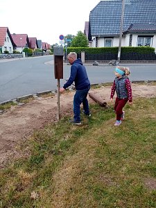 Bienenhotel mit angeschlossener Wiese