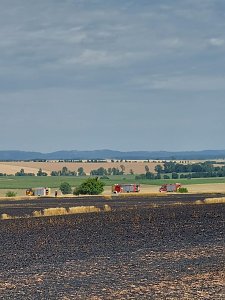 Fl&auml;chenbrand bei Trebra