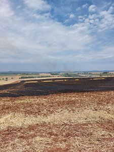Fl&auml;chenbrand bei Trebra