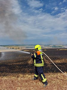 Fl&auml;chenbrand bei Trebra