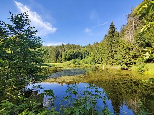Am Hardteich