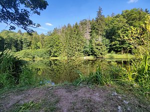 Am Hardteich