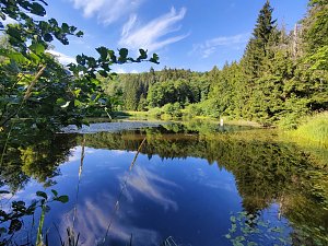Am Hardteich
