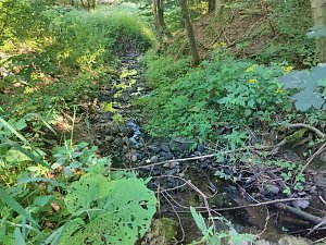 Am Hardteich