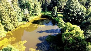 Am Hardteich