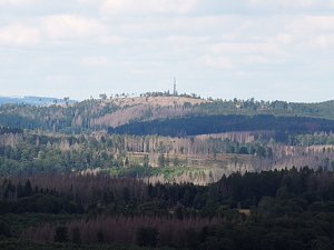 Aussicht vom Poppenbergturm