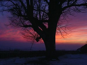Sonnenstrahlen