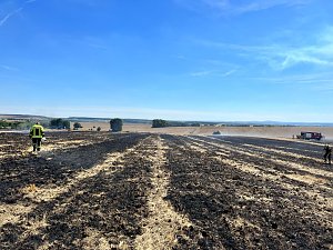 Feldbrand Bein Obermehler