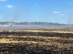 Feldbrand Bein Obermehler