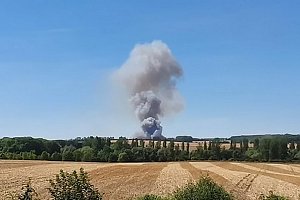 Feldbrand Bein Obermehler