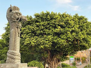 Nordh&auml;user Karateka auf Okinawa erfolgreich