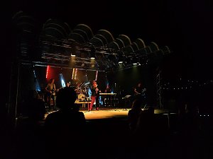Superstimmung beim Livekonzert im Park