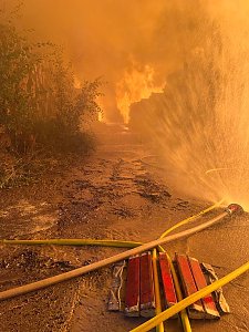 Brand auf dem Gel&auml;nde einer Holzverarbeitungsfirma