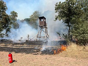 Waldbrand bei Urbach