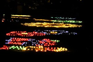 Peter Blei unterwegs auf dem Lichterfest