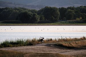 Abendstimmung am Stausee Kelbra