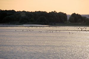 Abendstimmung am Stausee Kelbra