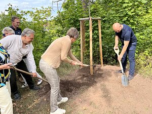 Projekt "Alte Kirchen neu erwandern"