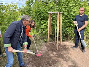 Projekt "Alte Kirchen neu erwandern"
