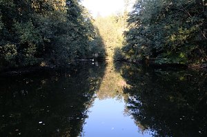 Am ehemaligen Waldbad Urbach 