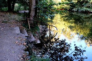 Am ehemaligen Waldbad Urbach 