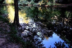 Am ehemaligen Waldbad Urbach 