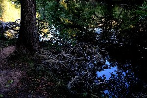 Am ehemaligen Waldbad Urbach 