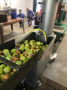 Harztor-Bauhof sammelt knapp 2000 Kilogramm Obst f&uuml;r Kita-Saft 