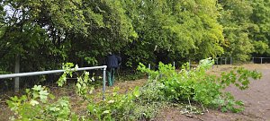 Sportplatz im Borntal wurde durch viele flei&szlig;ige H&auml;nde vom Unrat befreit