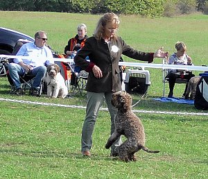Clubschau am Stausee