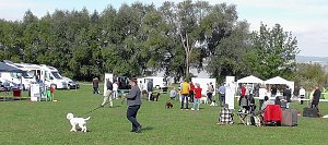 Clubschau am Stausee