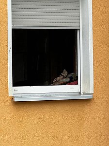 Wohnungsbrand heute Vormittag 