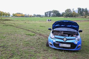 Fahranf&auml;ngerin rutscht auf eine Kuhweide