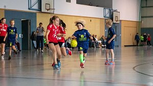 NSV-Handballer aller Altersklassen waren am Wochenende im Einsatz