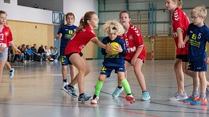NSV-Handballer aller Altersklassen waren am Wochenende im Einsatz