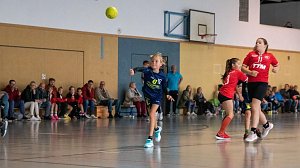 NSV-Handballer aller Altersklassen waren am Wochenende im Einsatz