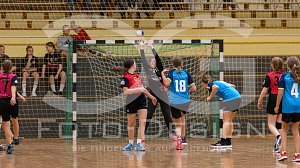 NSV-Handballer aller Altersklassen waren am Wochenende im Einsatz