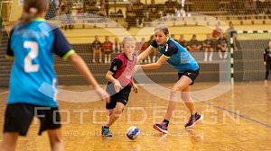 NSV-Handballer aller Altersklassen waren am Wochenende im Einsatz