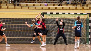NSV-Handballer aller Altersklassen waren am Wochenende im Einsatz