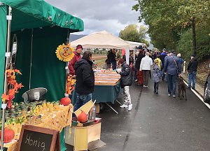 Rotbuchenfest in Ellrich