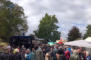 Rotbuchenfest in Ellrich