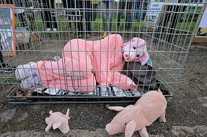 Protestaktion bei Van Asten