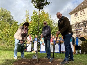 Baum des Jahres in Neustadt gepflanzt