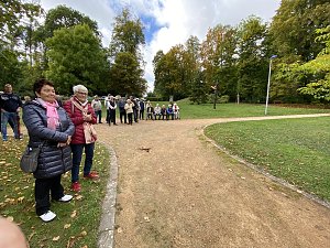 Baum des Jahres in Neustadt gepflanzt