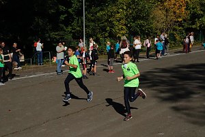 Herbstcrosslauf im Gehege
